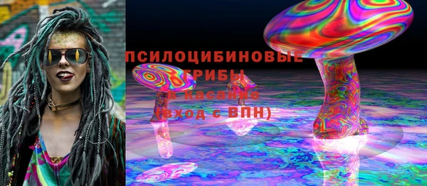 spice Алексин