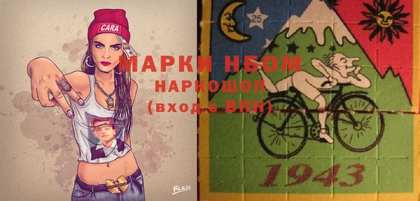 гашик Осинники